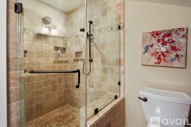 A bathroom with a walk-in shower and a toilet.