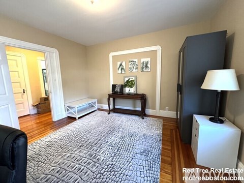 A living room with a grey rug and a wooden floor.