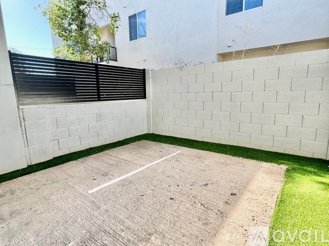 A backyard with a white wall, a green strip, and a white line painted on the ground.