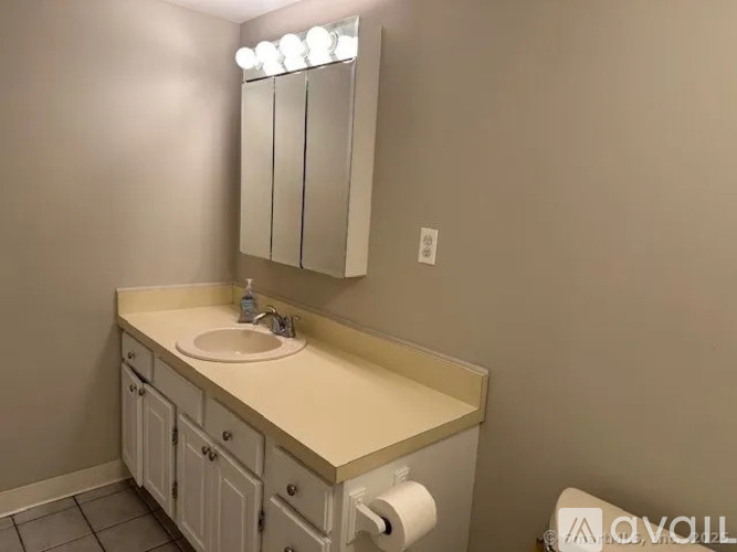 A bathroom with a sink, mirror, and toilet paper roll.