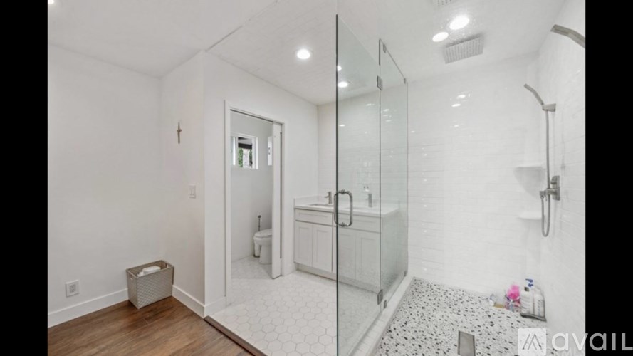 A bathroom with a walk-in shower and a toilet.