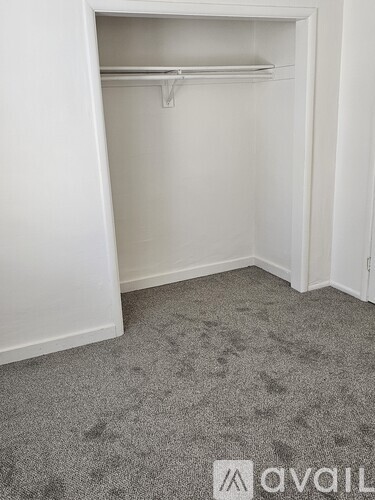 A white closet with a grey carpet.