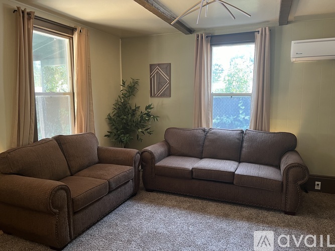 A living room with two brown couches and a plant.
