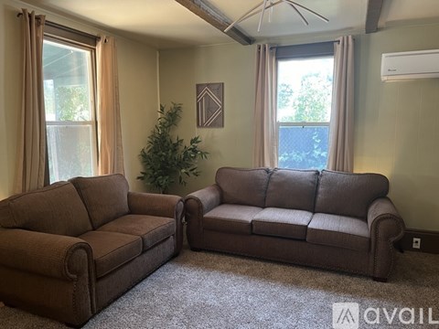 A living room with two brown couches and a plant.