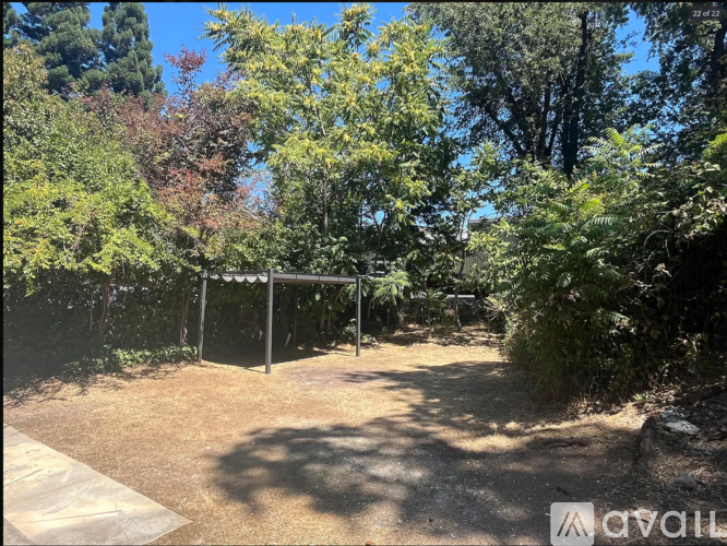 A backyard with a fence and trees.