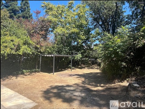 A backyard with a fence and trees.