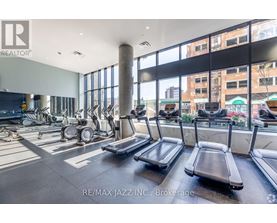 A gym with treadmills and elliptical machines.