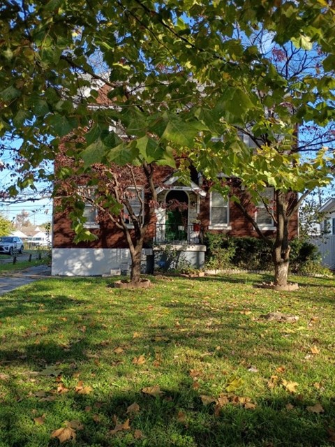 A tree with green leaves is in front of a house.