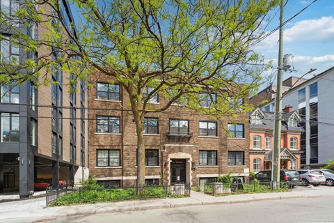 A tree in front of a building with a brick facade.