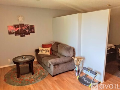A living room with a couch, a coffee table, and a rug.