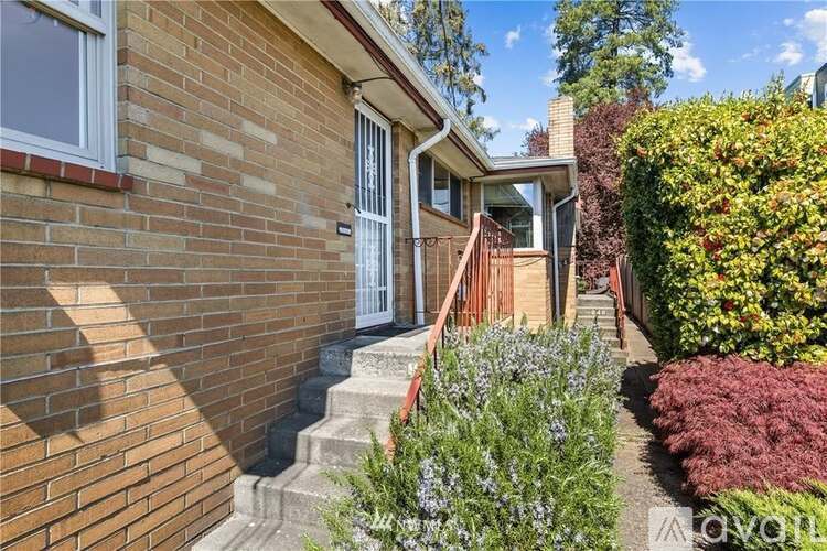 A house with a brick wall and a white door is surrounded by green plants.