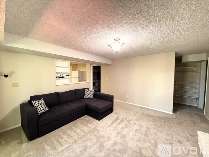 A living room with a grey carpet and a black couch.