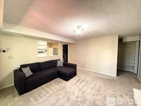 A living room with a grey carpet and a black couch.