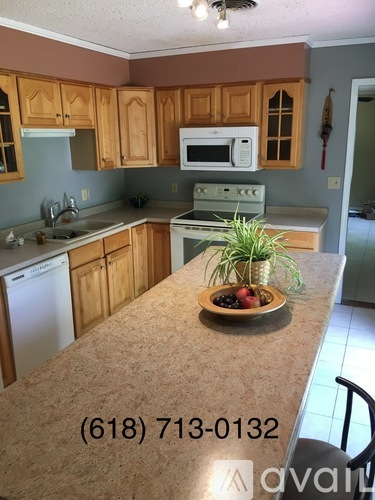 A kitchen with wooden cabinets and a countertop with a plant on it.
