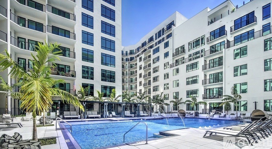 A large swimming pool in front of a white building with a palm tree.