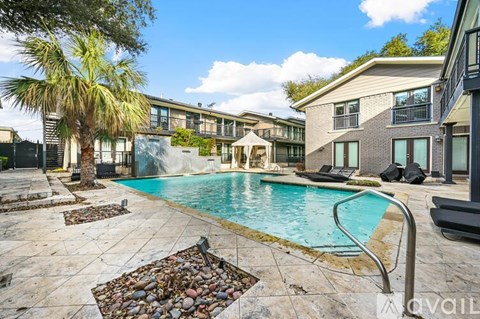 A swimming pool surrounded by a stone border and a palm tree.