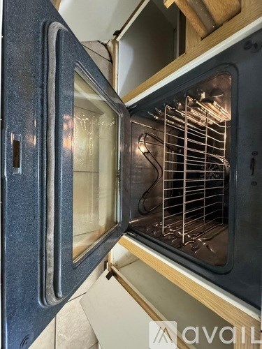 The oven is open and the rack is visible.