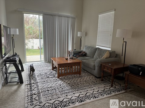 A living room with a grey couch, a wooden coffee table, and a rug with a black and white pattern.