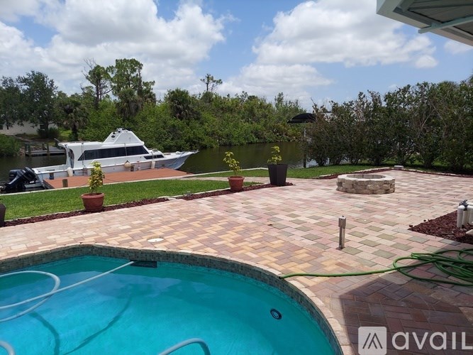 A pool with a hose and a potted plant.