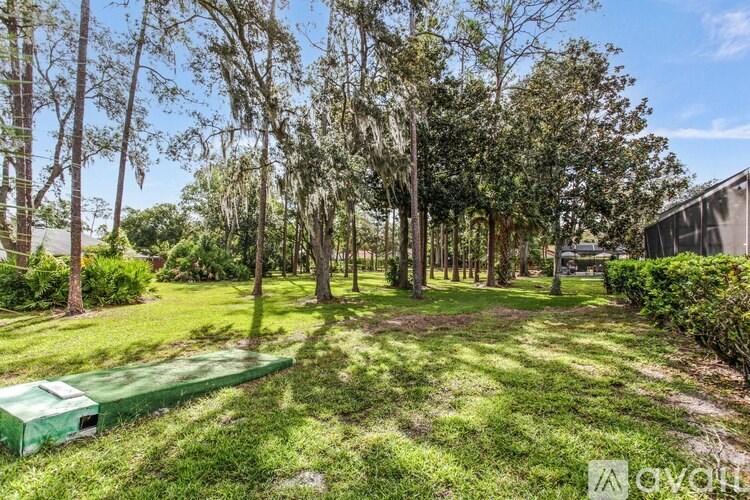 A backyard with a green shed and trees.