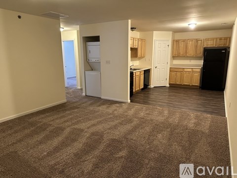 A carpeted room with a kitchen area in the background.