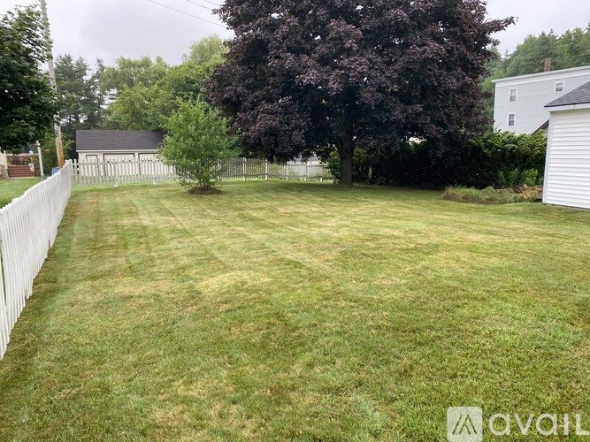 A backyard with a white fence and a large tree.