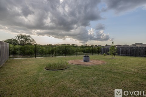 A park with a fence and a small tree in the middle of a grassy area.