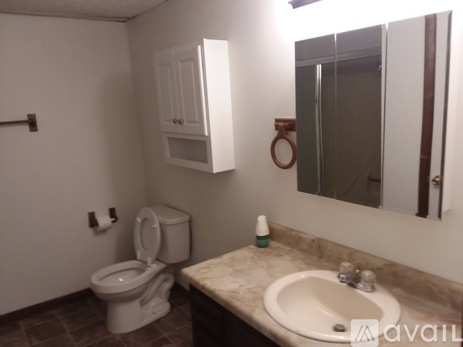 A bathroom with a toilet, sink, and mirror.