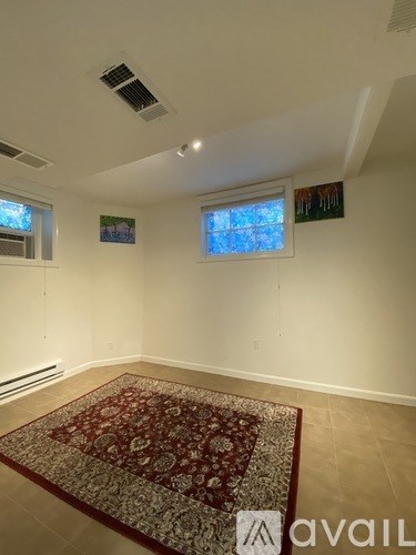 A room with a rug on the floor and two windows.