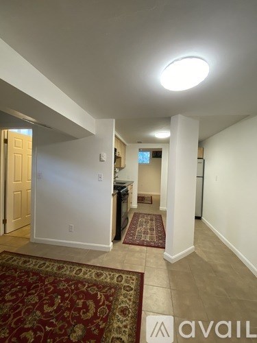 A hallway with a rug on the floor and a light on the ceiling.
