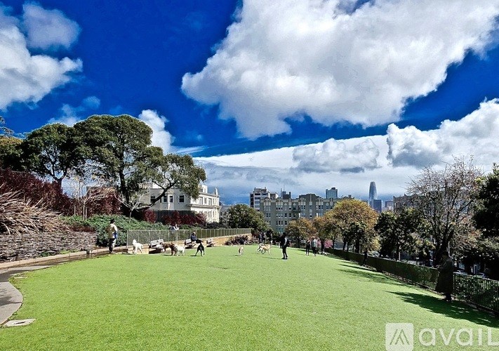 A park with people walking and playing in the grass.