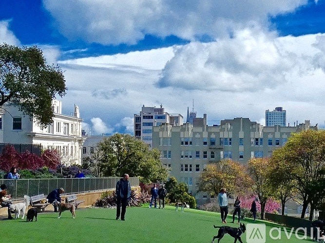 A park with people and dogs on a sunny day.