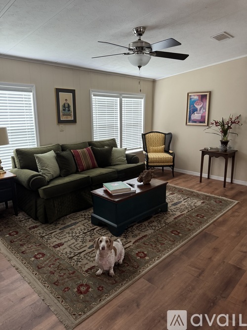 A dog sits on a rug in a living room with a green couch, yellow chair, and a ceiling fan.