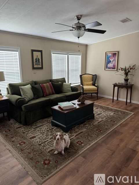 A dog sits on a rug in a living room with a green couch, yellow chair, and a ceiling fan.