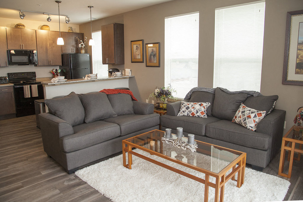 View of living room and kitchen in 1 bedroom apartment
