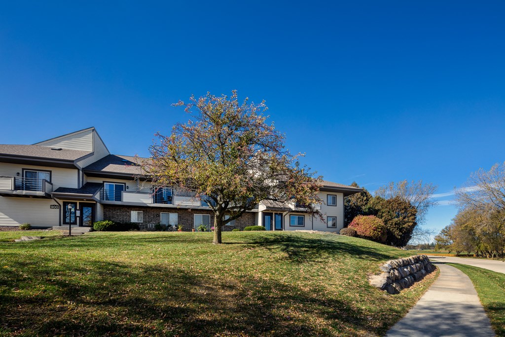 a house on a hill with a tree in front of it