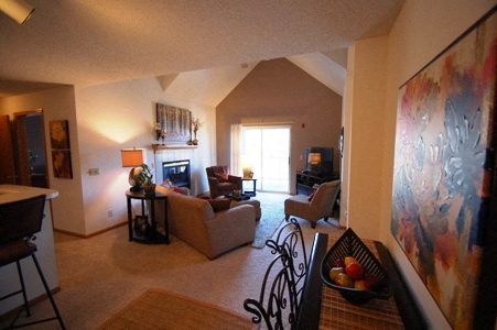 a living room with couches and chairs and a fireplace