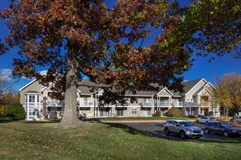 a large building with a tree in front of it