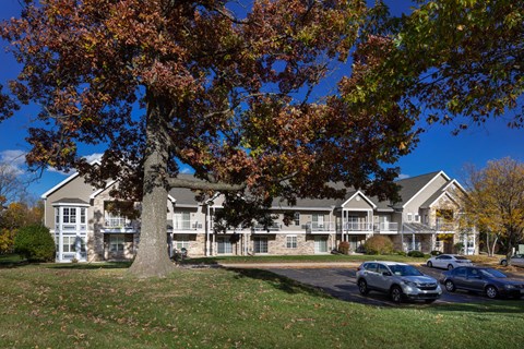 a large building with a tree in front of it