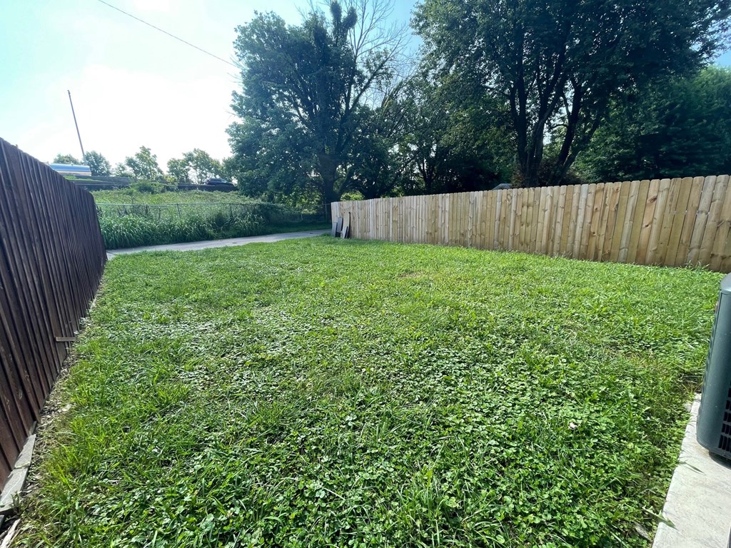 A backyard with a wooden fence and green grass.