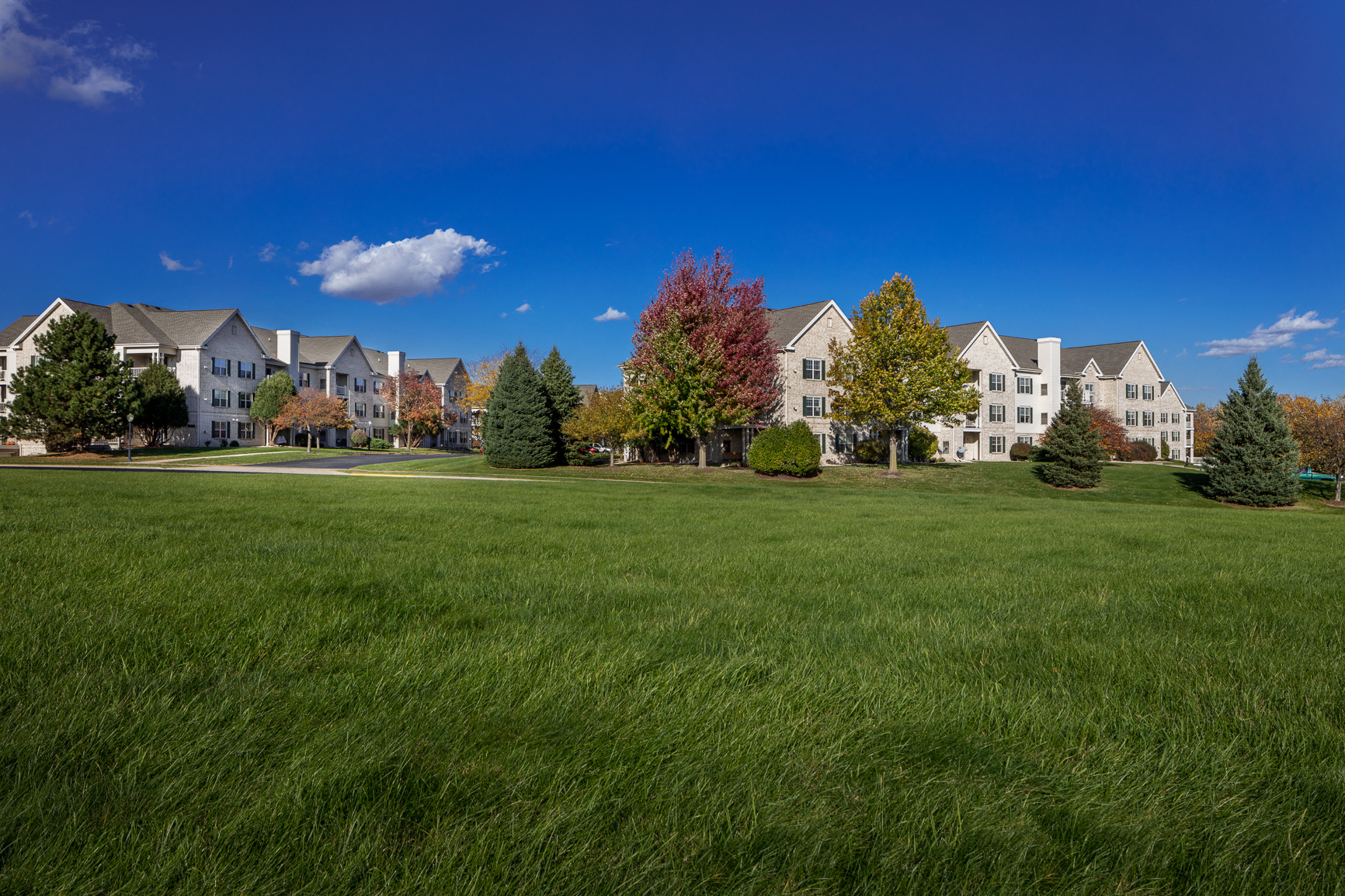 an open field with apartment buildings in the background