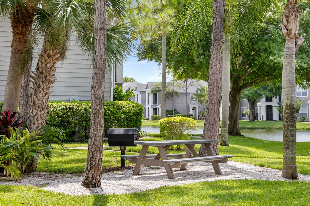 a picnic table and barbecue grill in a park with palm trees