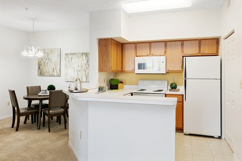 Woodmere Apartments Of Venice