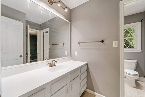 A bathroom with a white sink and a mirror above it.