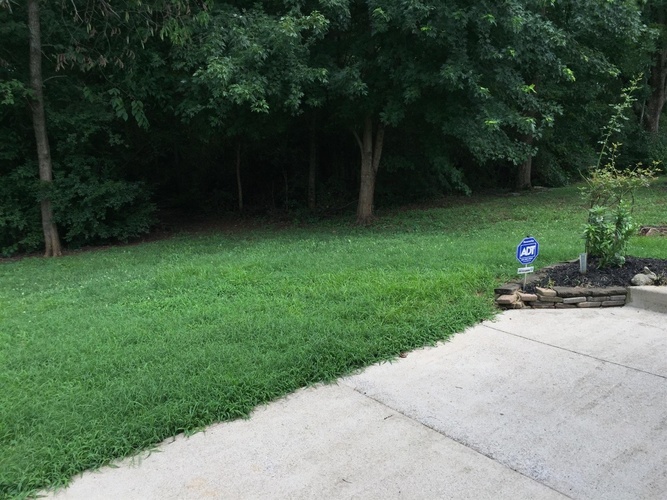A blue sign with white lettering is on the grass by a sidewalk.