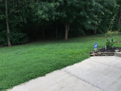 A blue sign with white lettering is on the grass by a sidewalk.
