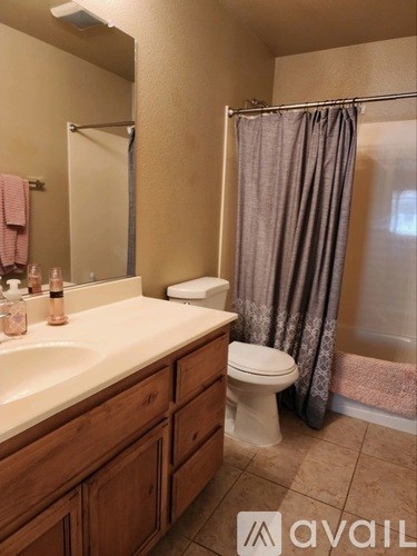 A bathroom with a sink, toilet, and shower curtain.