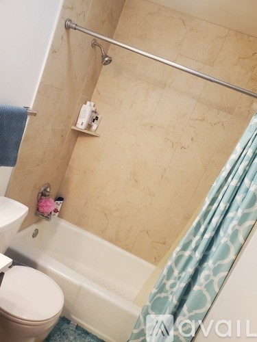 A bathroom with a toilet, a shower curtain, and a shower head.