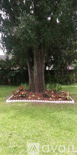 A large tree with a thick trunk and a lush green canopy.