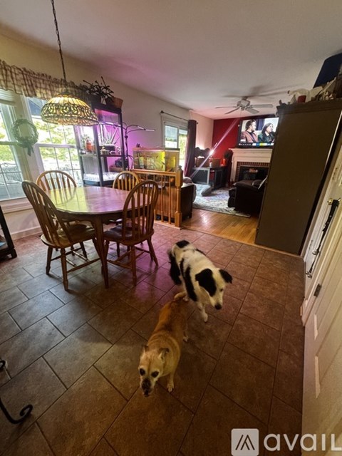 Two dogs are standing in a kitchen with a table and chairs.